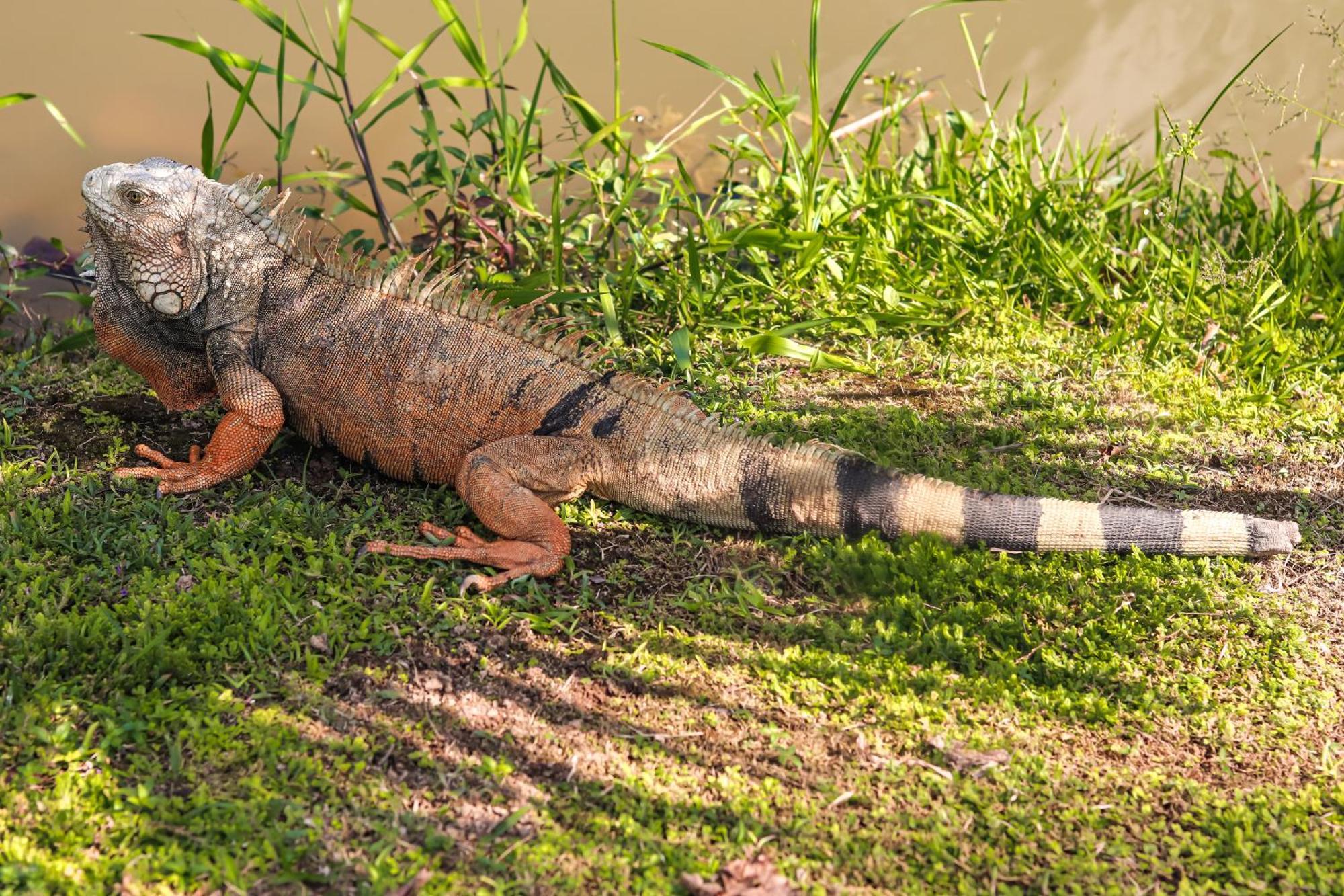 Los Colores Ecoparque Doradal Ngoại thất bức ảnh